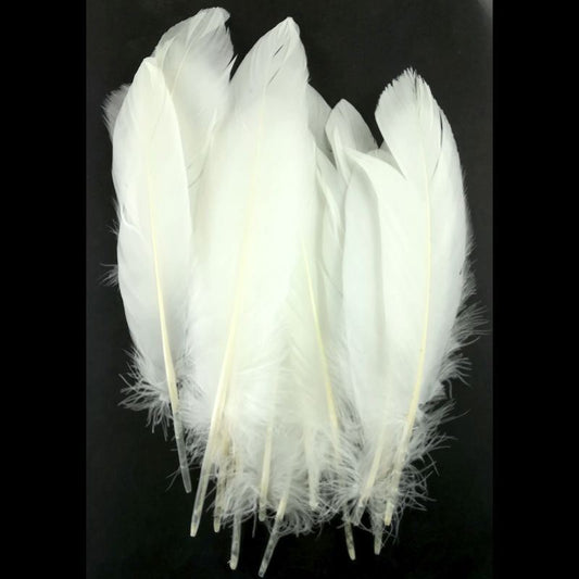 Pack of 20 White Feathers