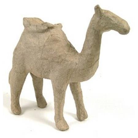 Camel with saddle