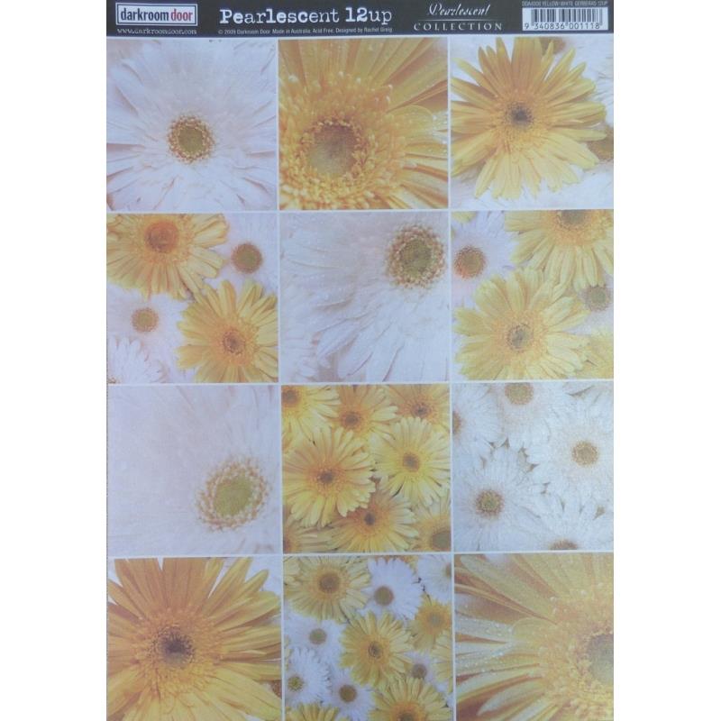 Pearlescent Paper Yellow/Whit