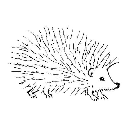 Hedgehog